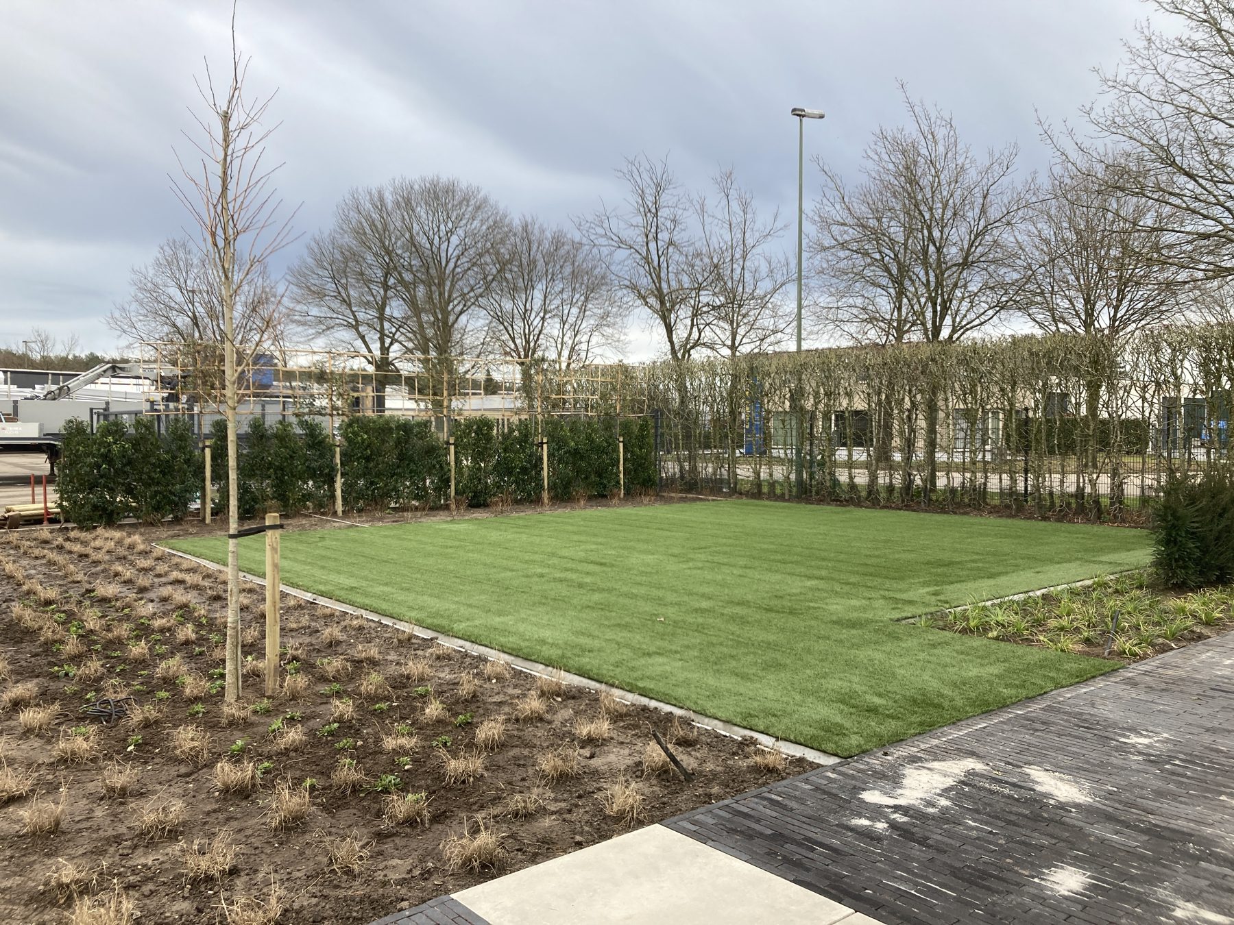Ruime achtertuin met nieuw gazon en jonge bomen